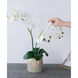 Stripe White Faux Orchid