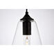 Placido 1 Light 6 inch Black and Clear Pendant Ceiling Light