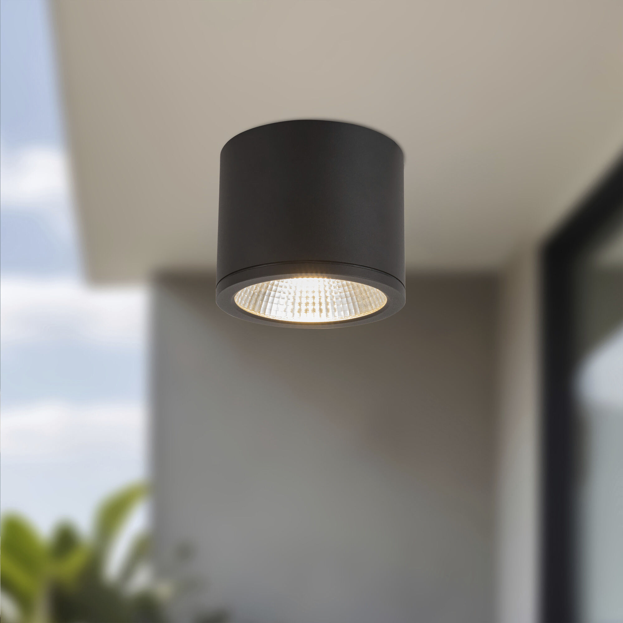 Nordic LED 5 inch Black Exterior Ceiling