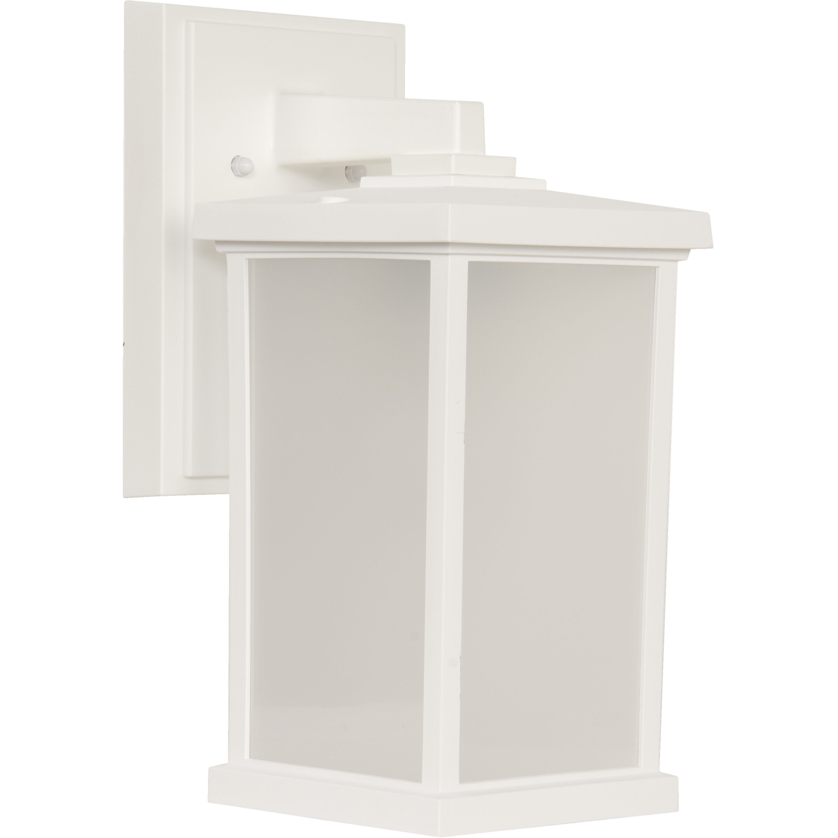 Resilience Lantern 1 Light 6.25 inch Outdoor Wall Light