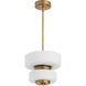 Favo 13.5 inch Brushed Brass Pendant Ceiling Light