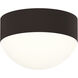 Reals Flush Mount Ceiling Light in Textured Bronze, Dome Lens