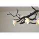 CC Series 15 Light 32.5 inch Black Chandelier Ceiling Light