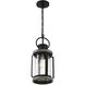Parker 1 Light 8.5 inch Lodge Outdoor Hanging Lantern