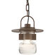 Mason 1 Light 8.2 inch Coastal Bronze Outdoor Ceiling Fixture - Open Box