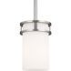 Robie 1 Light 4.38 inch Brushed Nickel Mini-Pendant Ceiling Light