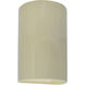 Ambiance 1 Light 9.5 inch Vanilla Gloss Outdoor Wall Sconce in Incandescent, Small