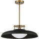 Gavin 1 Light 20 inch Black with Warm Brass Accents Pendant Ceiling Light