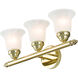 Neptune 3 Light 19 inch Polished Brass Bath Vanity Wall Light
