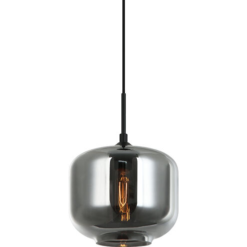 Irresistible Organic Charm 1 Light 9.88 inch Smoke Pendant Ceiling Light