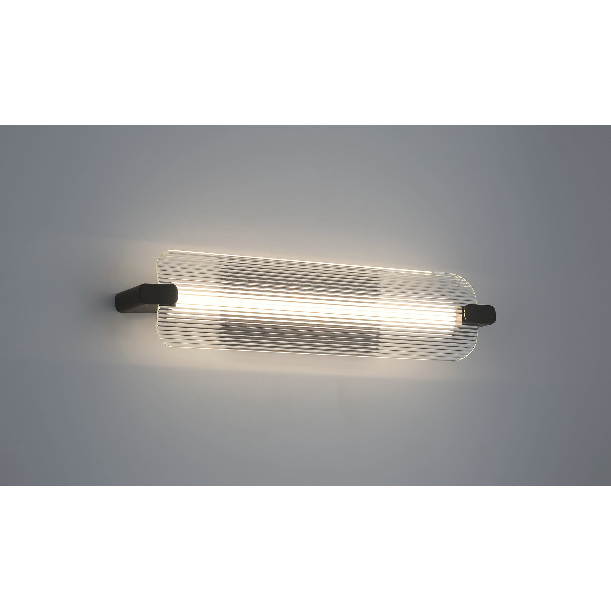 Neoness LED 24.5 inch Matte Black Outdoor Wall Sconce in Clear