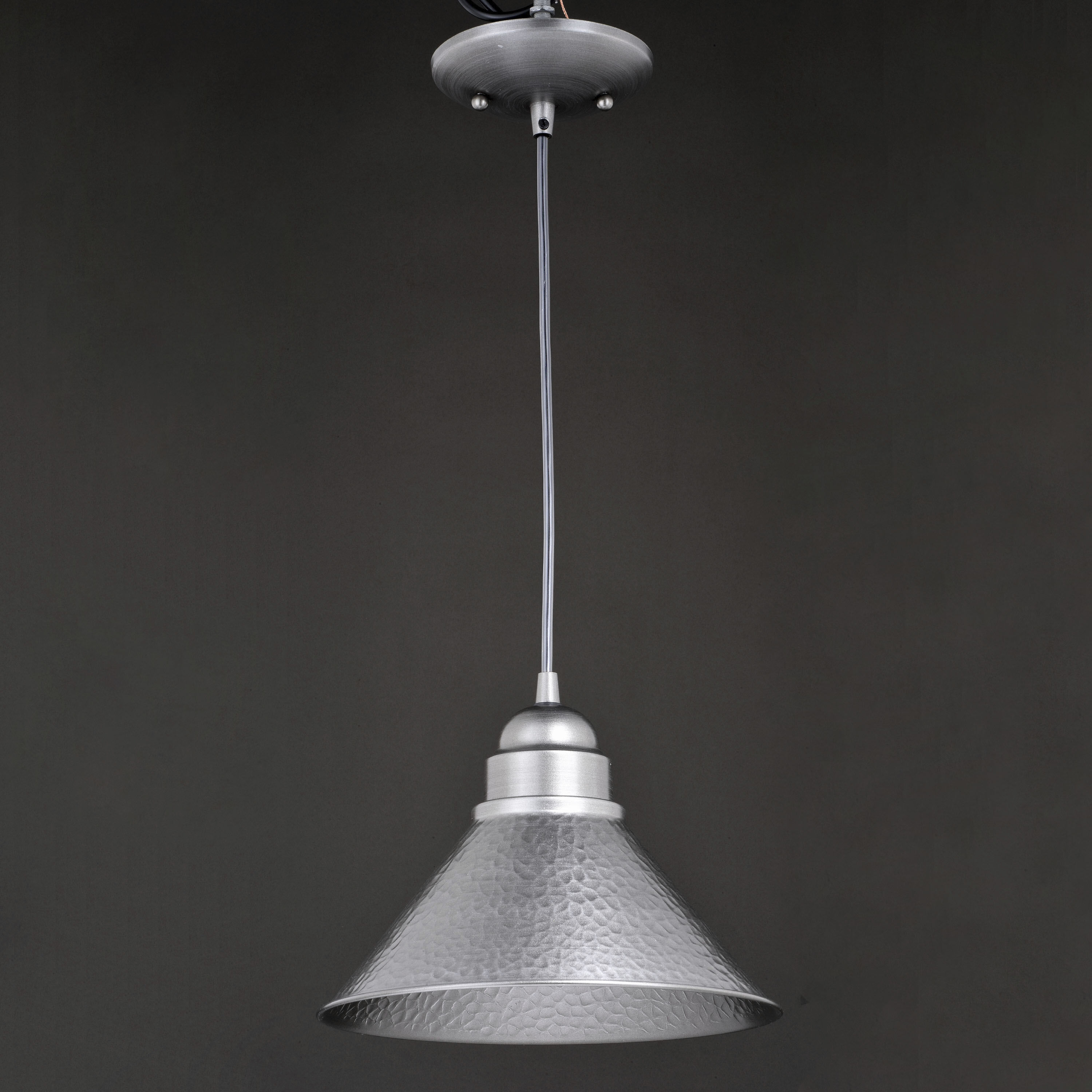 Outland LED 10 inch Brushed Pewter Outdoor Pendant