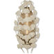Maidenhair 1 Light 10.5 inch Antique Pearl Wall Sconce Wall Light