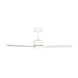 Rozzen 44 inch Matte White Indoor/Outdoor Ceiling Fan