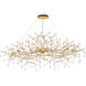 Canada 14 Light 24 inch Solid Brass Chandelier Ceiling Light