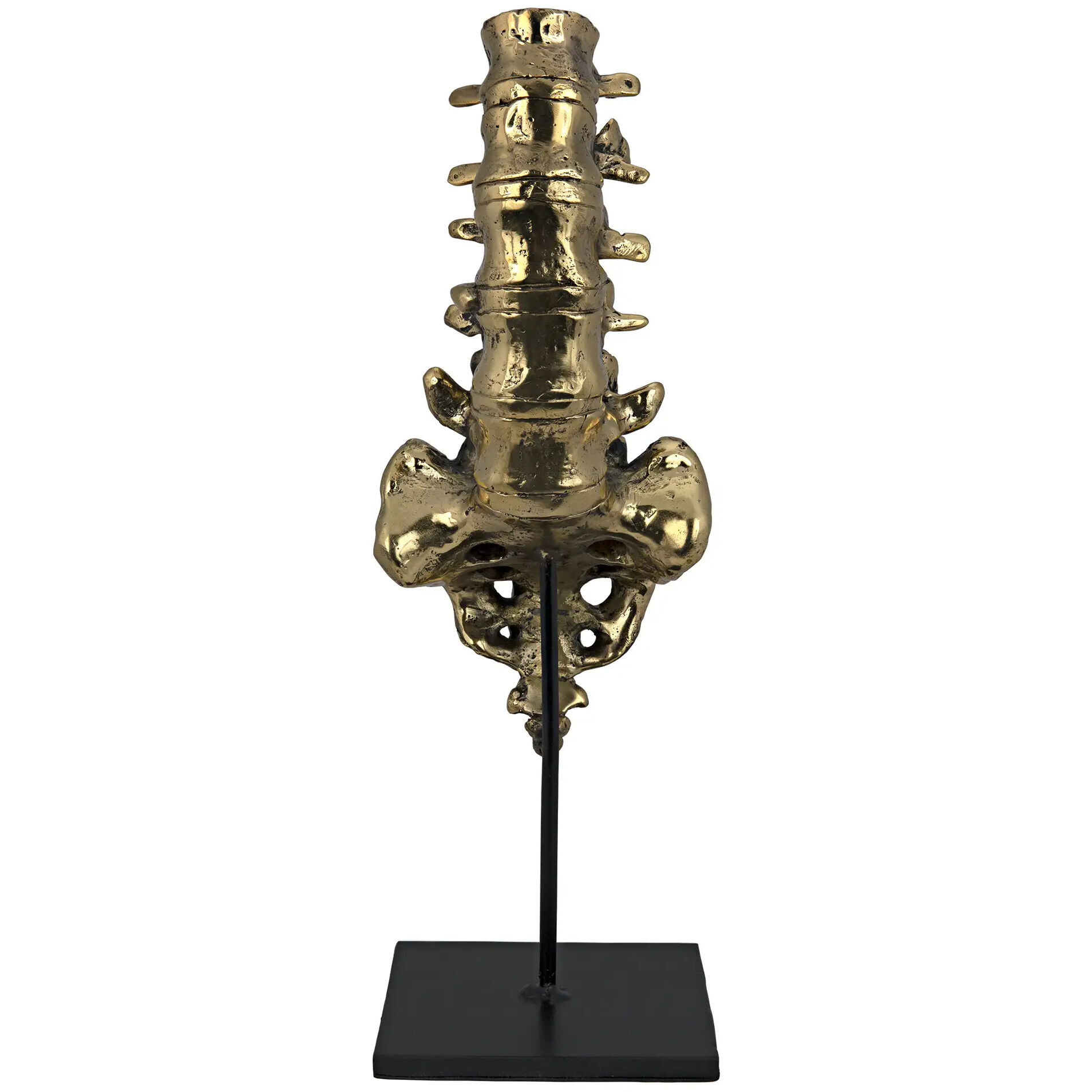 Vertebrae Brass Decor Accessory