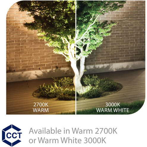 InterBeam Black 3.00 watt LED Spot and Flood Lighting in 3000K, 1, Low Voltage Accent Light, WAC Landscape