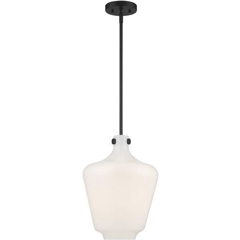 Day Dream 1 Light 12 inch Matte Black Pendant Ceiling Light