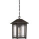 Cedar Point 1 Light 10 inch Palladian Bronze Outdoor Hanging Lantern