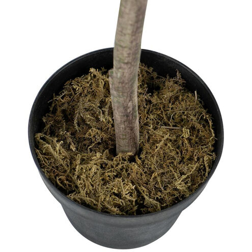 Potted Fiddle Leaf Tree Napoleon Bronze with Distressed Gold Leaf Faux Fiddle Leaf Tree