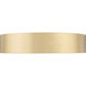 Coronado LED 20 inch Modern Gold Flush Mount Ceiling Light
