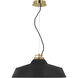 Sean Lavin Forge LED 24 inch Natural Brass Line-Voltage Pendant Ceiling Light in Nightshade Black