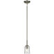 Shailene 1 Light Brushed Nickel Mini Pendant Ceiling Light in Clear