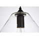 Placido 1 Light 9 inch Black and Clear Pendant Ceiling Light