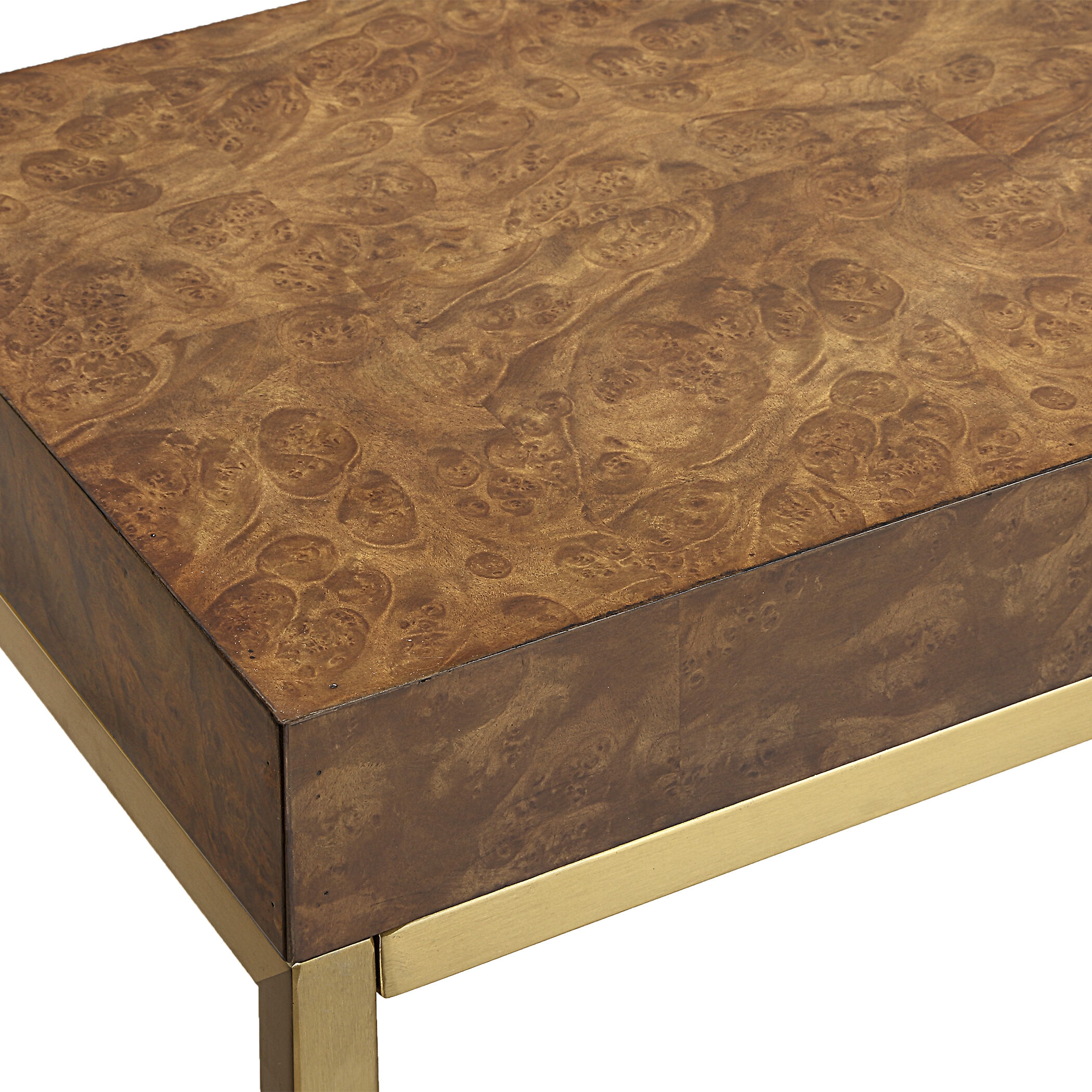 Moran 60 inch Burl Veneer and Gold Console Table