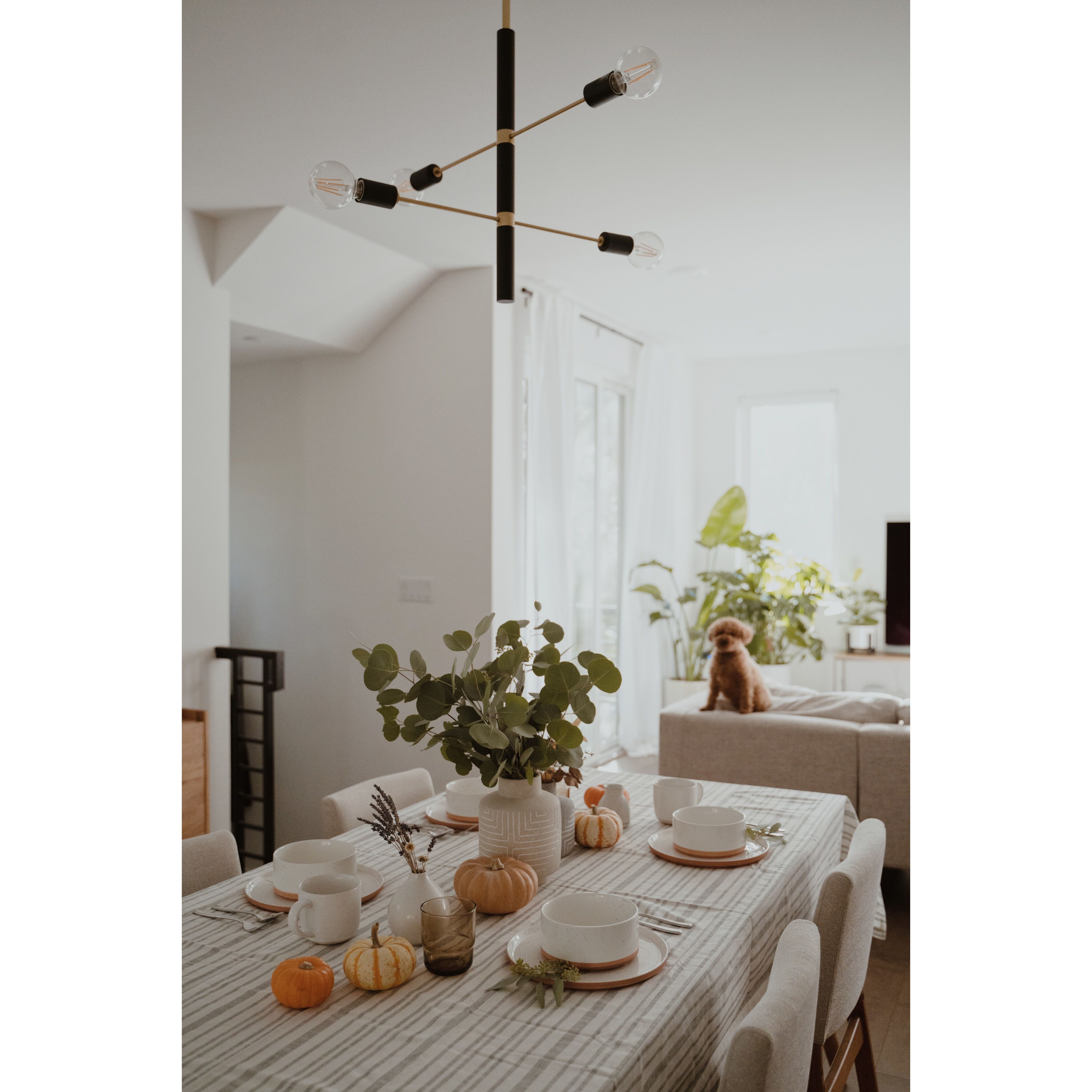 Astrid 4 Light 24 inch Aged Brass Chandelier Ceiling Light in Aged Brass and Black