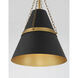 Springfield 1 Light 12 inch Legacy Brass and Dark Matte Black Pendant Ceiling Light