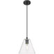 Crown Point 1 Light 8 inch Matte Black Pendant Ceiling Light in Clear Glass