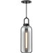 Alora Mood Soji Pendant Ceiling Light in Matte Black, Smoked Glass
