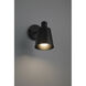 Dalton Wall Sconce Wall Light