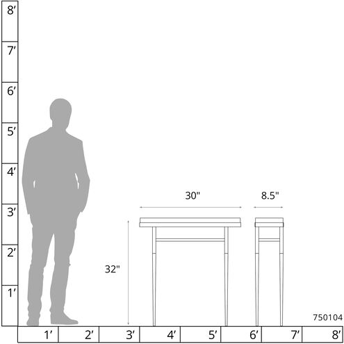 Wick 30 X 8.5 inch Sterling Console Table in Maple Espresso