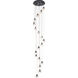 Eren 18 Light 15 inch Black Pendant Ceiling Light