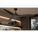 Vapor 60 inch Coal Ceiling Fan