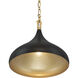 Cedar Lane 1 Light 12.75 inch Legacy Brass and Matte Coal Pendant Ceiling Light