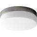 Zuri 1 Light 11.25 inch Flush Mount