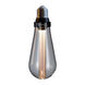 Buster LED E26 2.00 watt 120 2700K Light Bulb in Crystal