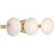 Zill LED 24 inch Lily Gold Vanity Light Wall Light