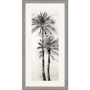 Palmae / Palmeras Neutral and Gray and Black and White Framed Art