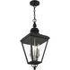Adams 3 Light 10.63 inch Black with Brushed Nickel Finish Cluster Outdoor Large Pendant Lantern Ceiling Light in Black with Brushed Nickel Accent