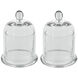 Serving Platter 4 X 4 inch Clear Platter, Set of 2