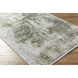 Solar 118.11 X 38.58 inch Light Gray/Off-White/Gray/Olive Machine Woven Rug in 3.25 x 10