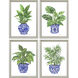 Botanical Blues Blue and Green and White Framed Art