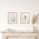Serenity Shells Blue and Neutral Framed Art, Propac
