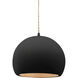 Radiance LED 7 inch Matte Black and Carbon Matte Black/Champagne Gold Pendant Ceiling Light