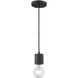 Placerville 1 Light 2 inch Black Mini Pendant Ceiling Light