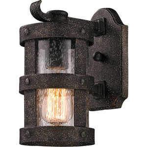 Barbosa 1 Light 10 inch Aged Pewter Outdoor Wall Sconce